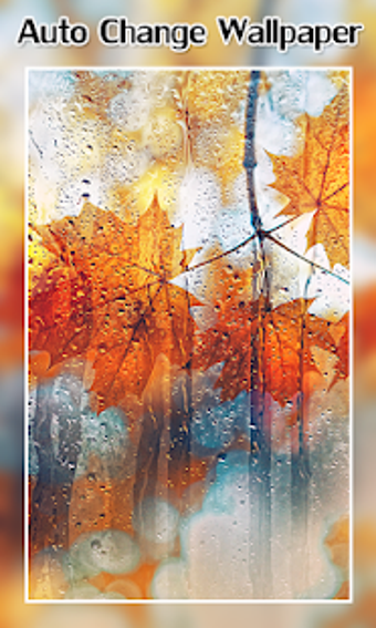 Imagen 2 para Auto Change Wallpaper