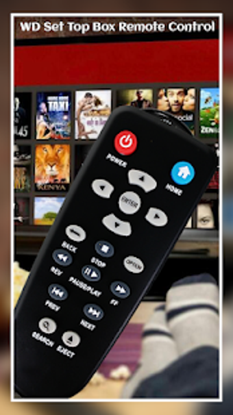 Imagen 2 para Remote Control For WD Set…