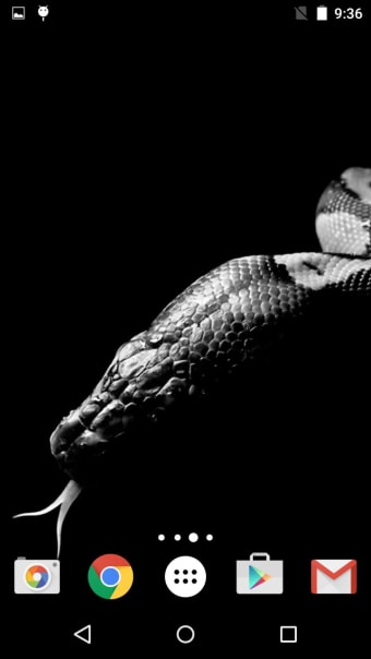 Image 0 for Snakes Live Wallpaper