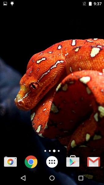 Imagen 2 para Snakes Live Wallpaper