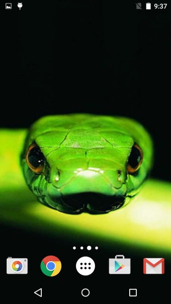 Imagen 1 para Snakes Live Wallpaper