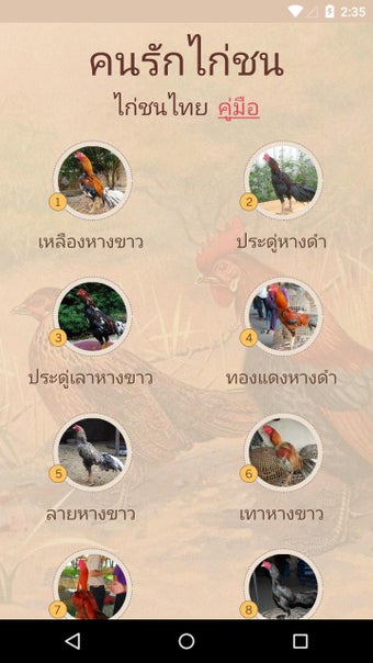 Imagen 0 para Thai Gamecock (Thai Cockf…