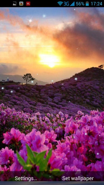 Imagen 2 para Spring Sunrise Live Wallp…