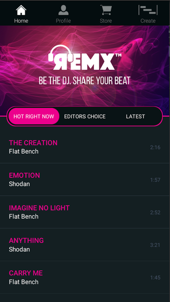 Image 2 for REMX: Music Maker