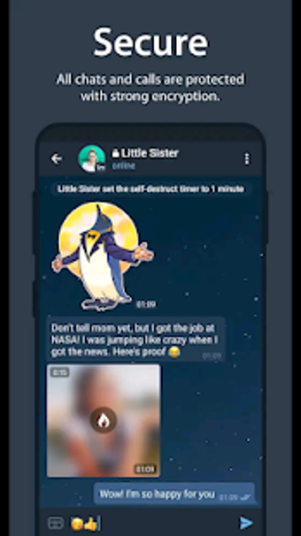 Image 1 for Telgram Messenger