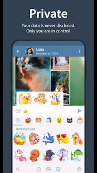 Imagen 3 para Telgram Messenger