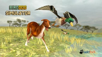 Image 1 for Bird Dog Simulator