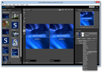Image 0 for Perfect B&W Standard Edit…