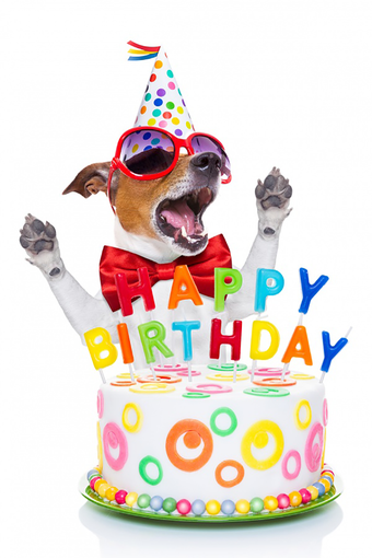 Imagen 3 para Happy Birthday songs 2018