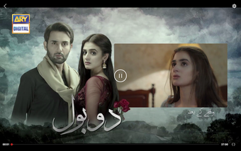 Image 0 for ARY ZAP