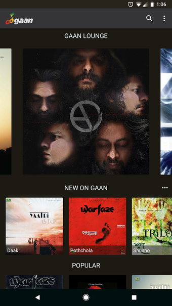 Image 0 for GAAN