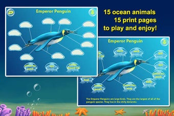 Image 0 for Amazing Ocean Animals- Ed…
