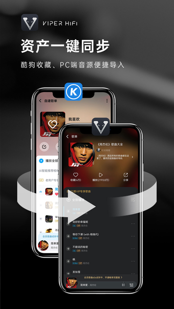 Image 0 for VIPER HiFi-音乐发烧神器APP