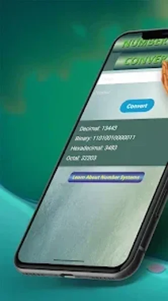 Image 0 for Lins-Number System Conver…