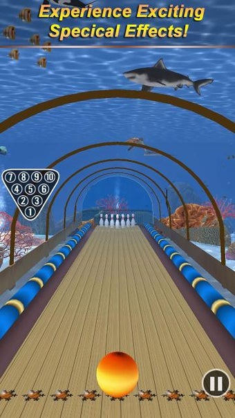 Image 1 for Bowling Paradise 3