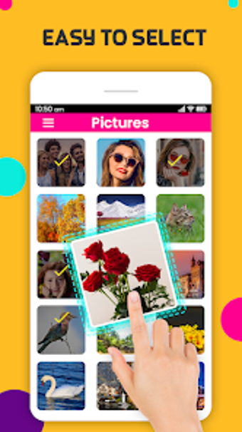 Image 0 for Image Search Photo Downlo…