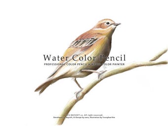 Image 0 for Water Color Pencil