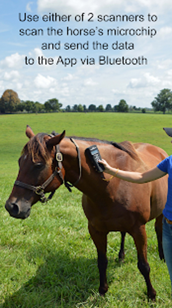 Image 3 for EquiTrace