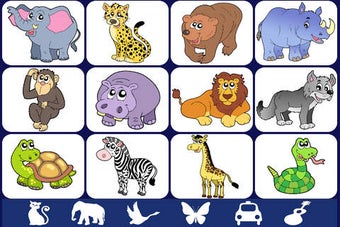 Image 0 for Video Touch - Wildlife