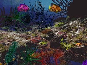 Image 0 for 3D Angelfish