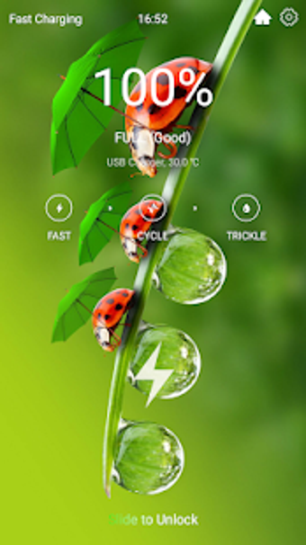 Imagen 3 para super fast charger 2020 -…
