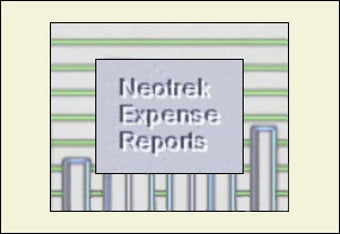 Image 0 for Neotrek Expense Reports