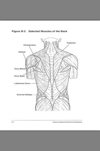 Image 0 for Navy Seal Fitness Guide-E…