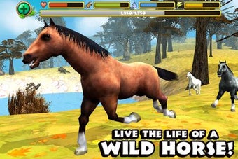 Image 0 for Wild Horse Simulator