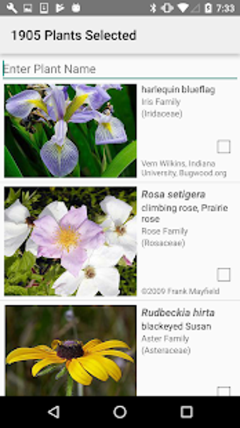 Image 0 for New York Wildflowers