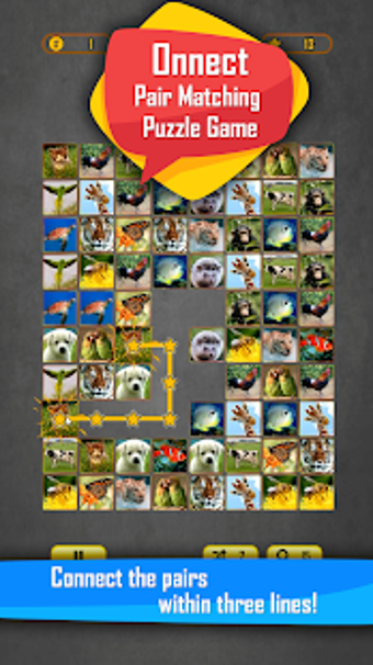 Image 1 for Onnect - Pair Matching Pu…