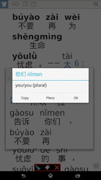 Imagen 1 para Pinyin Web & EPUB