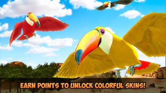 Image 0 for Toucan Simulator 3D: Bird…