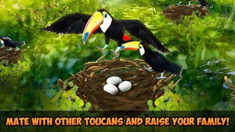 Image 3 for Toucan Simulator 3D: Bird…