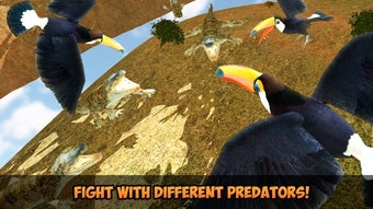 Image 2 for Toucan Simulator 3D: Bird…