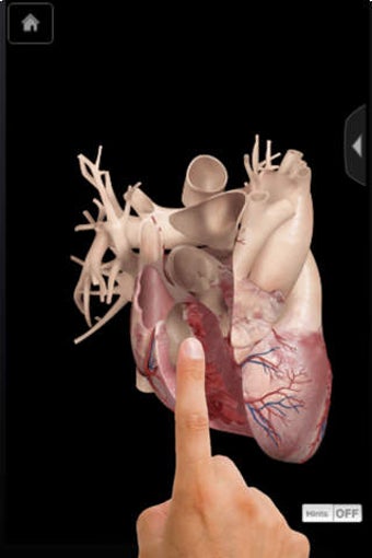 Image 0 for Heart Pro III - iPhone Ed…