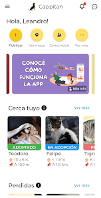 Imagen 0 para Cappitan: Rescate  Adopci…
