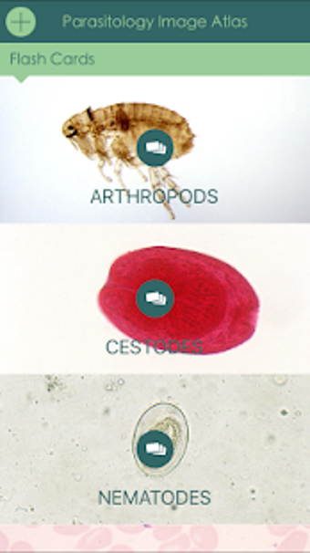 Imagen 3 para Parasitology Image Atlas