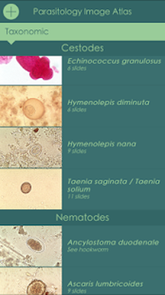Imagen 2 para Parasitology Image Atlas