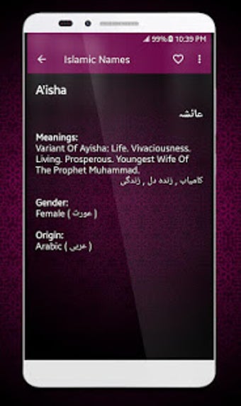 Image 3 for Islamic Names Dictionary