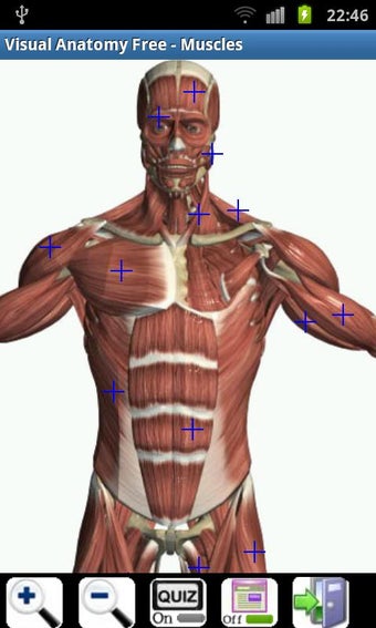 Image 1 for Visual Anatomy Free