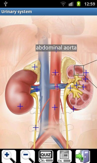 Imagen 1 para Visual Anatomy Free