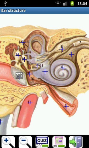 Imagen 0 para Visual Anatomy Free