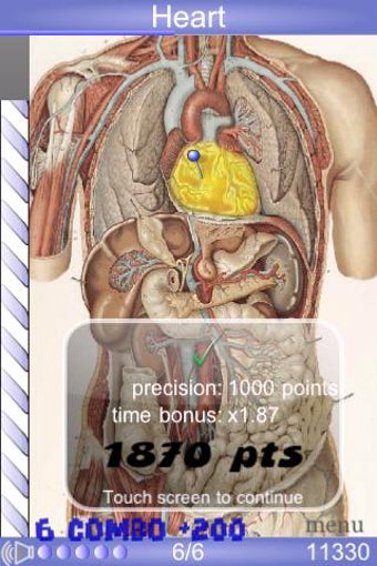 Imagen 0 para Speed Anatomy