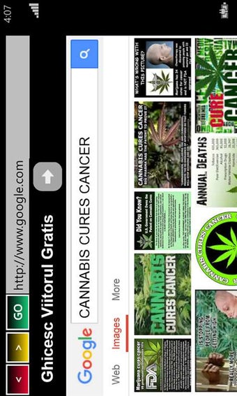 Imagen 2 para Anonymous Browser PRO