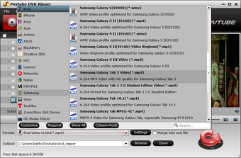 Image 5 for Pavtube DVD Ripper