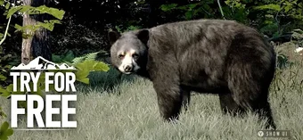 Image 0 for WOTH Wild America: Try an…