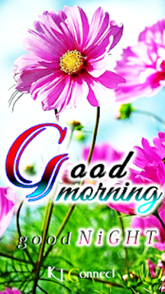 Image 2 for Good Morning