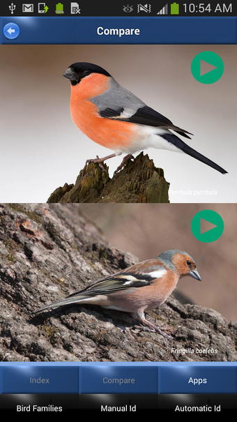 Image 1 for Bird Song Id: Auto Recogn…