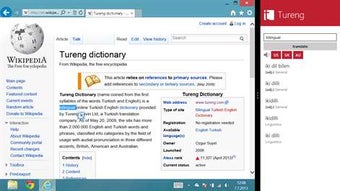 Image 2 for Tureng Dictionary for Win…