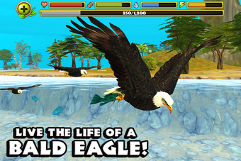 Image 0 for Eagle Simulator